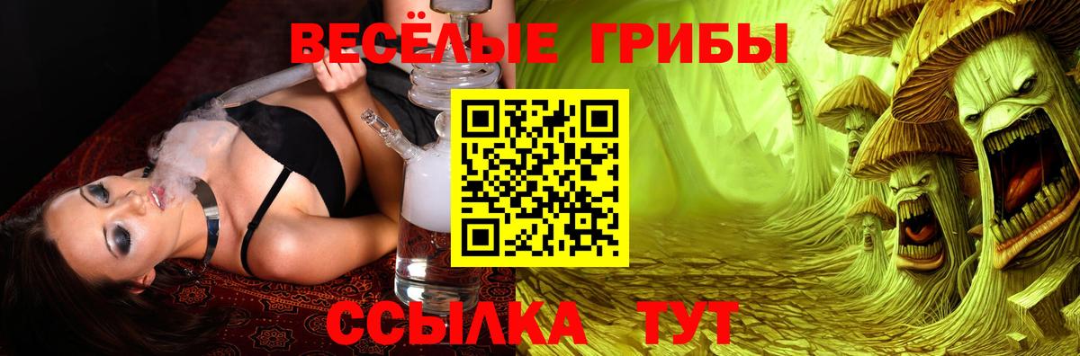 Нерюнгри  Псилоцибиновые грибы мухоморы  Галлюциногенные грибы GOLDEN TEACHER  Вход с VPN 